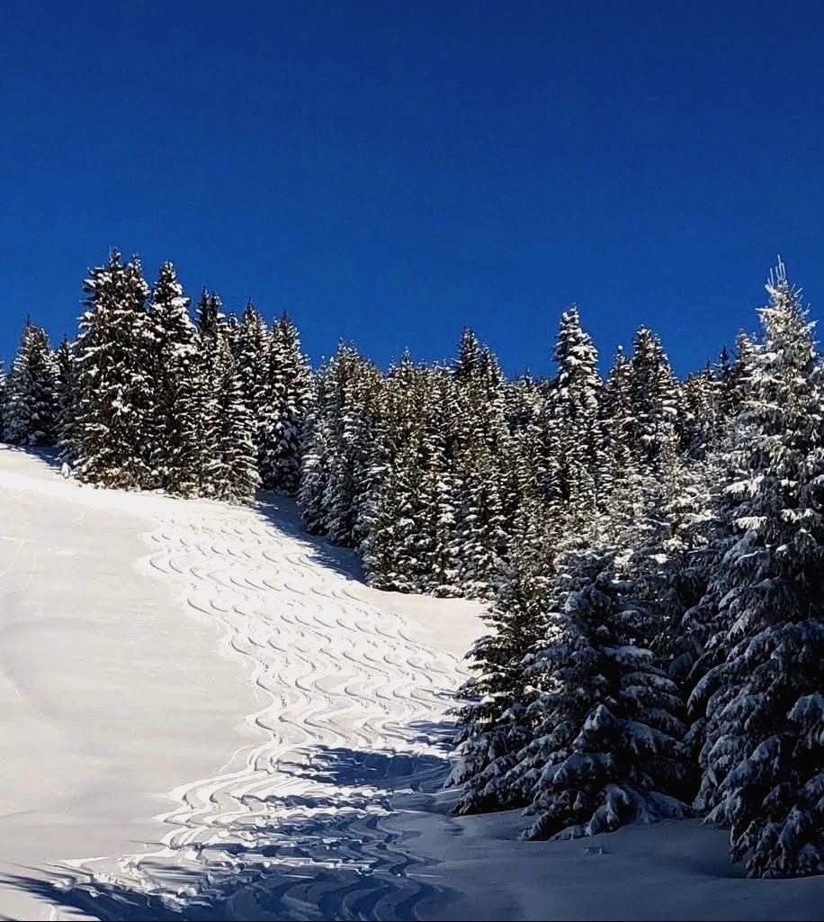 Ski hors-piste à La Plagne avec un guide (photo 8)